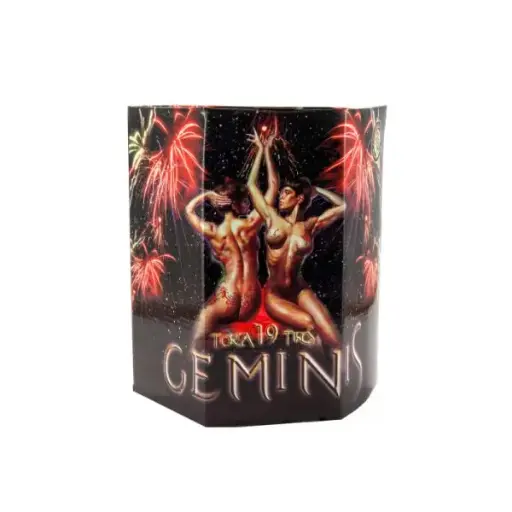 Torta 19 tiros Geminis